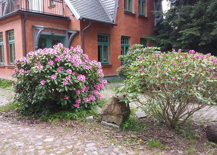Ferienhaus Am Wasserturm Für 6 Erwachsene Und 9
